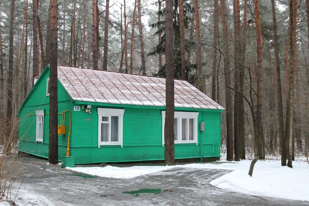 Гостевой дом Дома в комплексе Степянка Минск
